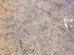 文思豆腐羹-怡园饭店-餐厅(四望亭店)