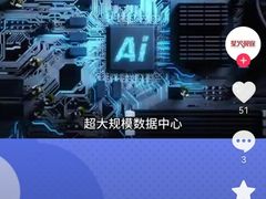 -约翰·菲茨杰拉德·肯尼迪国际机场