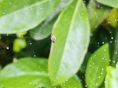 -前小桔亲子创意农场·草莓采摘·露营烧烤