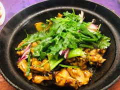 啫啫牛蛙煲-惠食佳·朱雀(东方商厦店)
