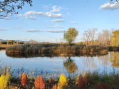 -野鸭湖国家湿地公园