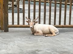-金沙遗址博物馆
