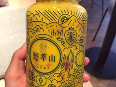 草莓芒果卡士-野萃山·潮汕厚果汁(十亩地店)