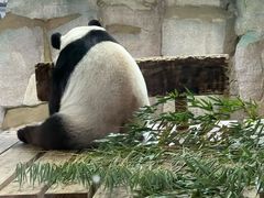 -无锡动物园·太湖欢乐园