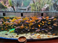 -太平洋海底世界