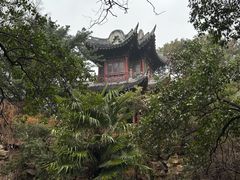 -水绘园