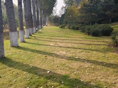 -燕郊植物园