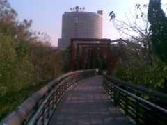 植物园桥上看大厦-山东大厦