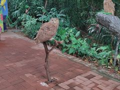 -广州长隆飞鸟乐园