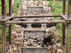 -石家庄市动物园