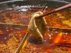 陈眼镜特色毛肚-陈眼镜火锅(总店)