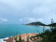 -广东惠东海龟国家级自然保护区