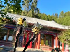 -宫事颐庭·老佛爷贵寿下午茶(颐和园店)