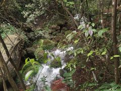 -赤水丹霞旅游区·佛光岩