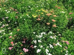 -长春公园(普阳街道)