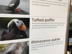 -西雅图水族馆