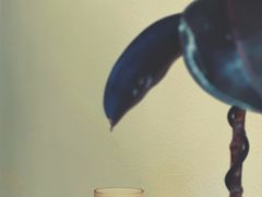 Dirty-LOTTA COFFEE(安居博文苑店)