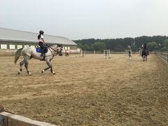 -月河湾马术俱乐部(朝阳店)