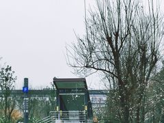 -神仙树公园