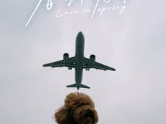 -空港花田景区
