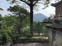 -鼎湖山风景区