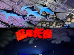 -烟台海昌鲸鲨海洋公园