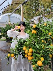 -前小桔亲子创意农场·草莓采摘·露营烧烤