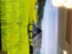 -湘邻呷铺·田园家宴(汉基广场店)