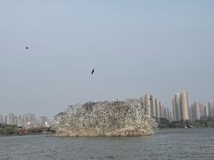 -九江市博物馆
