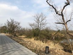 -木守西溪溪隐餐厅