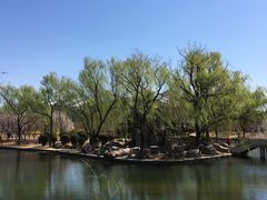 -石家庄市植物园