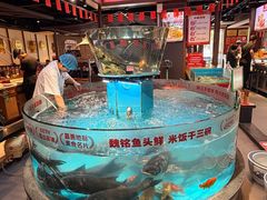 -魏铭鱼头捞饭(晋阳路店)