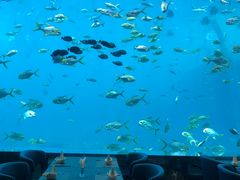 -瑞德姆美人鱼海底演艺主题餐厅(亚龙湾店)