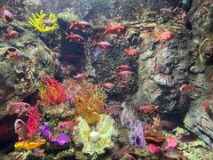 -太平洋海底世界