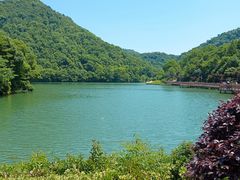 -桃花岭景区
