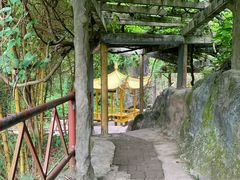 -大雁山风景区