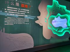 -中国湿地博物馆