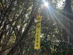 -午潮山国家森林公园