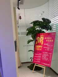 -碧莲盛·脱发养发中心