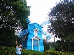 -铁山坪森林公园