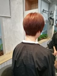 -V-STAR威斯达•高级私人定制