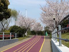 -尚贤河湿地