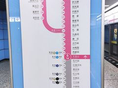 -大龙山(地铁站)