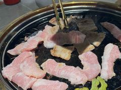 -杨小佳·齐齐哈尔烤肉·烤串(广州店)