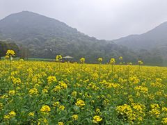 -广州市石门国家森林公园
