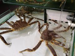 -鲤鱼门海鲜街
