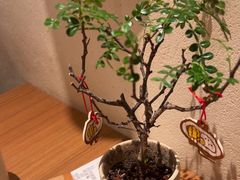 -CURRY YA 熟成咖哩專門店(深圳湾万象城店)