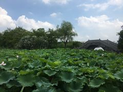 -高子水居