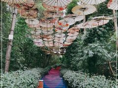 -天河潭旅游度假区
