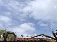 -沈阳鸟岛